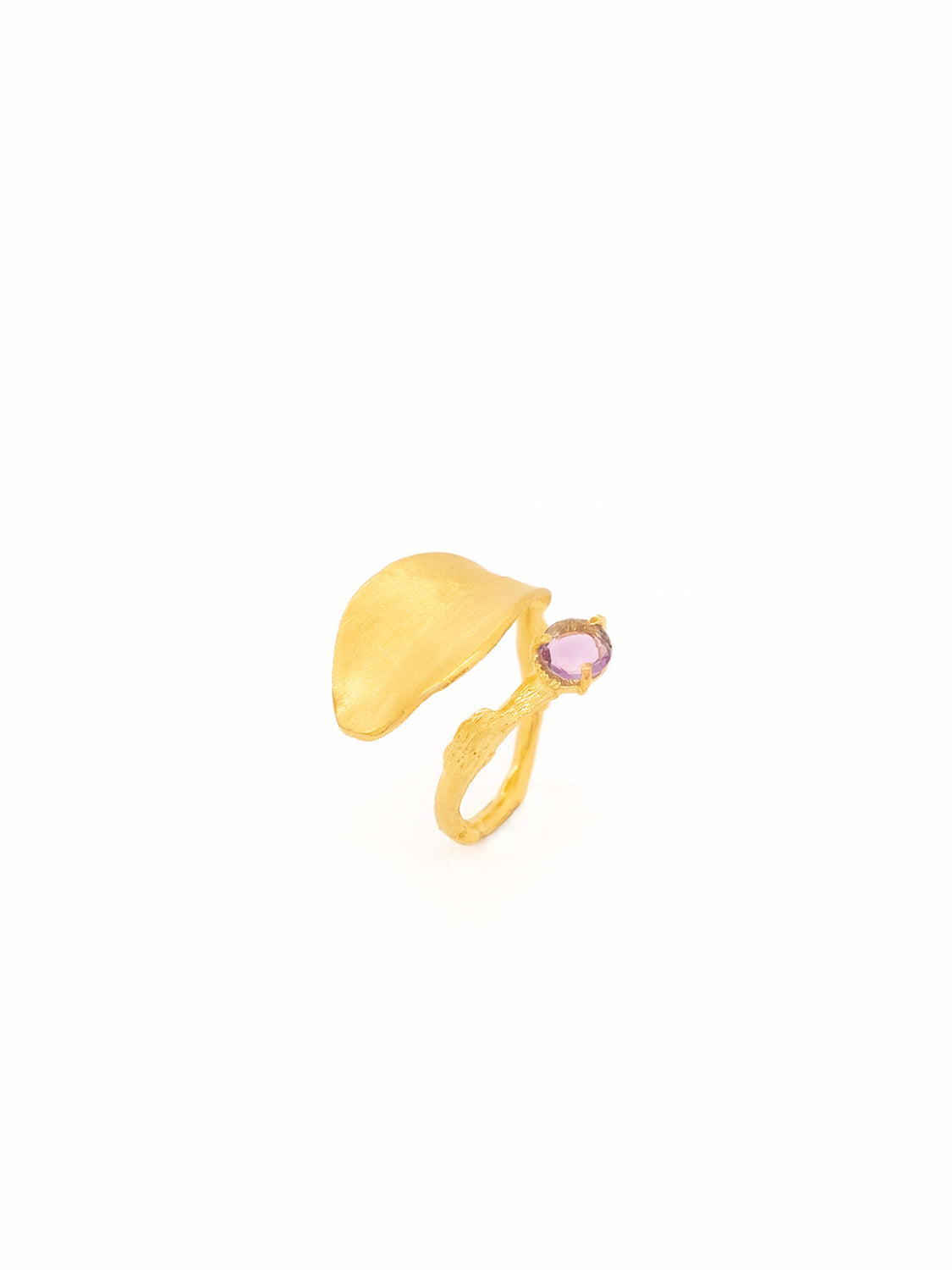Anel Leaf